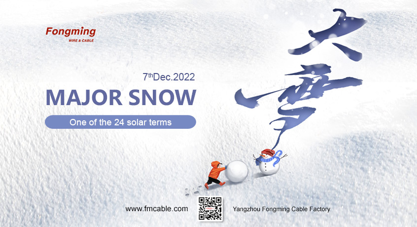 Fongming Cable: El término solar de Major Snow 