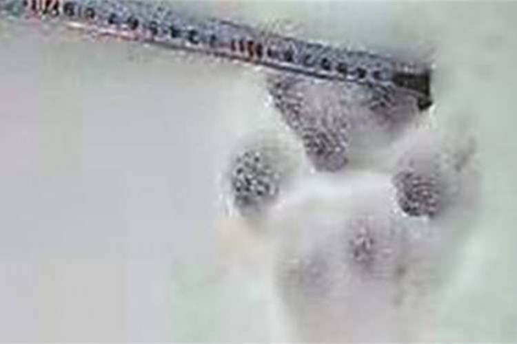 微信截图_20210125115341