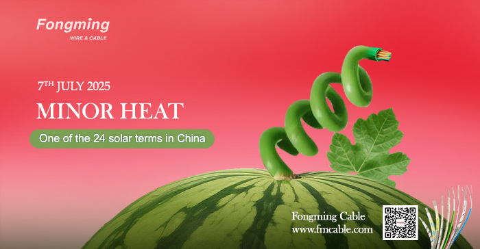 Fongming Cable丨Costumbres tradicionales de salud: conservación de alimentos y salud en la temporada de calor menor