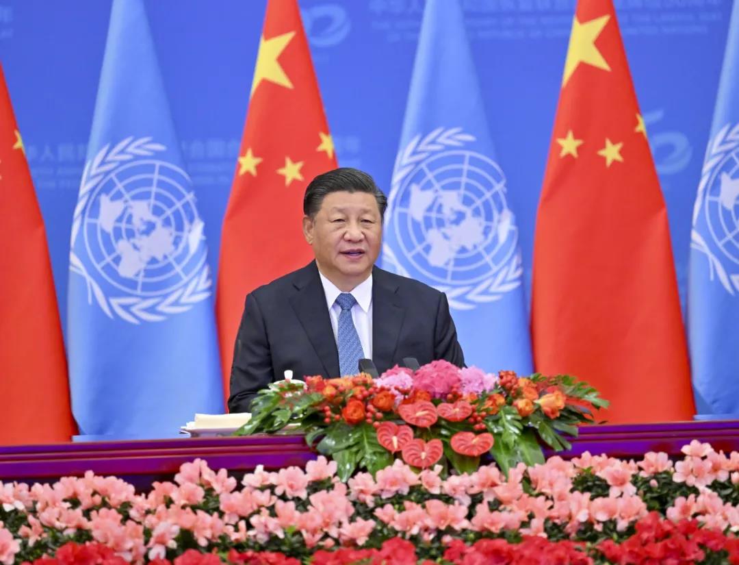 Fábrica de Cables de Fongming de Yangzhou: Xi Jinping asiste a la reunión del 50 aniversario de la restauración de la República Popular China en la sede legal de las Naciones Unidas y pronuncia un imp